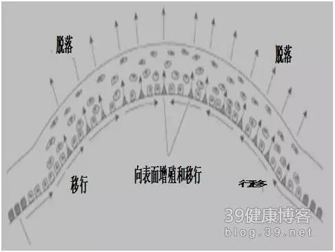 �۱���Ӧ���Խ�������