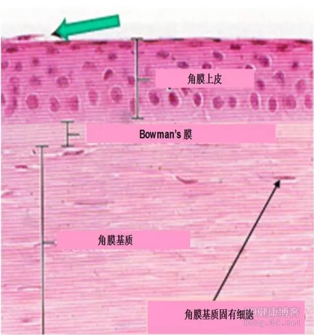 �۱���Ӧ���Խ�������