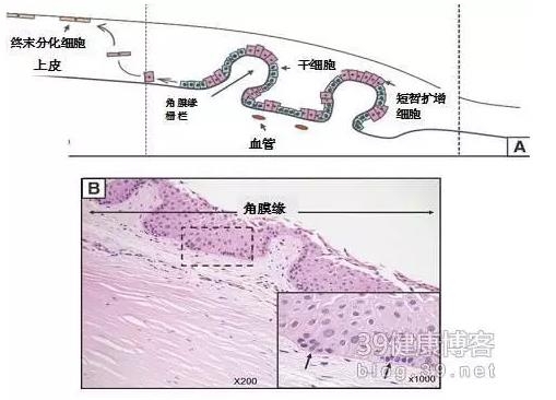 �۱���Ӧ���Խ�������