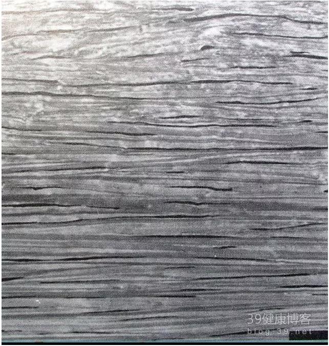 �۱���Ӧ���Խ�������