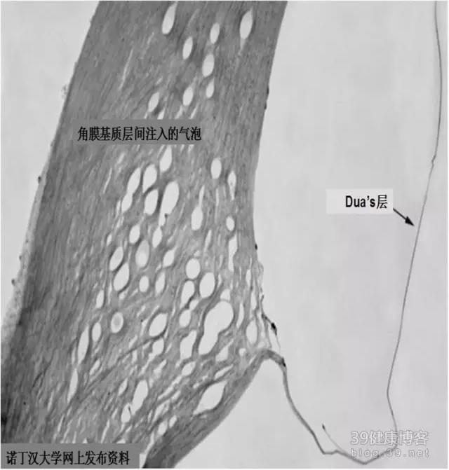 �۱���Ӧ���Խ�������