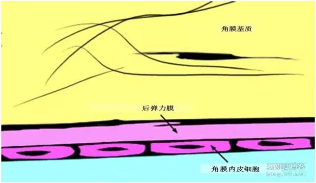 �۱���Ӧ���Խ�������