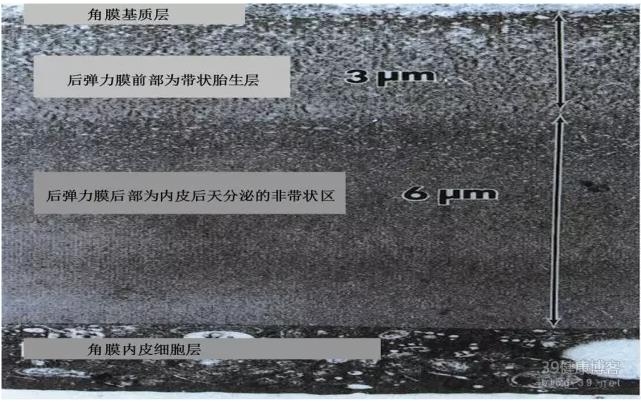 �۱���Ӧ���Խ�������