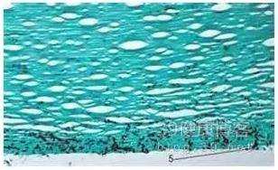 �۱���Ӧ���Խ�������