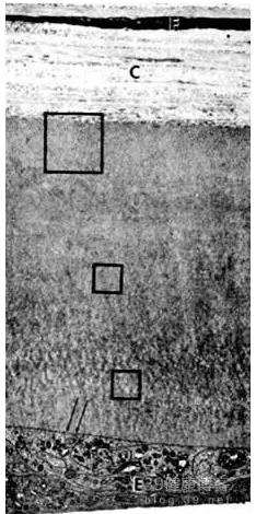 �۱���Ӧ���Խ�������