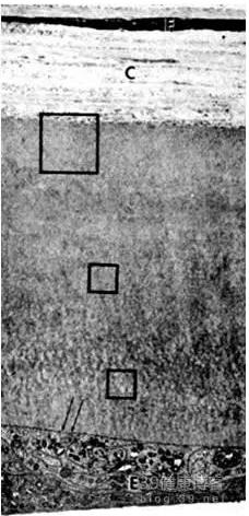 �۱���Ӧ���Խ�������