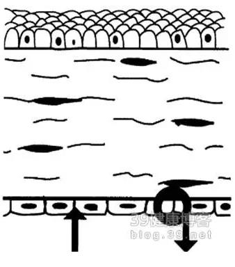 �۱���Ӧ���Խ�������