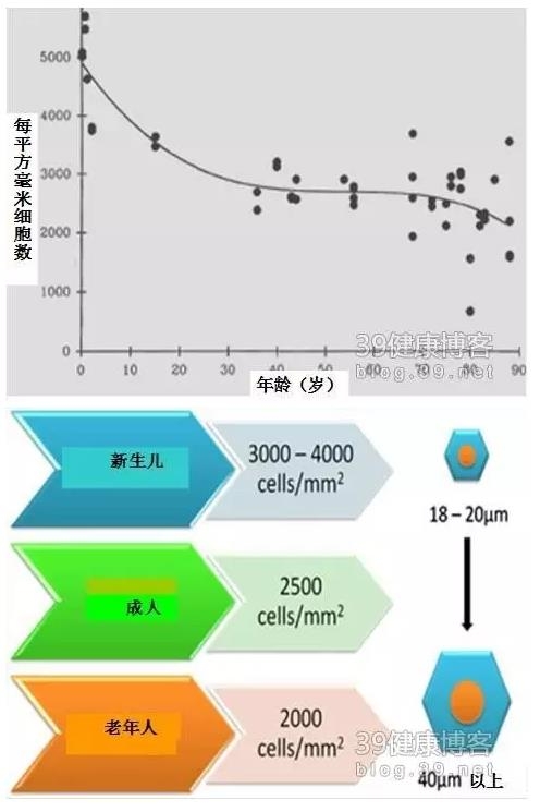 �۱���Ӧ���Խ�������