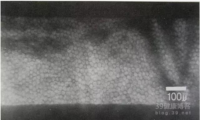 �۱���Ӧ���Խ�������