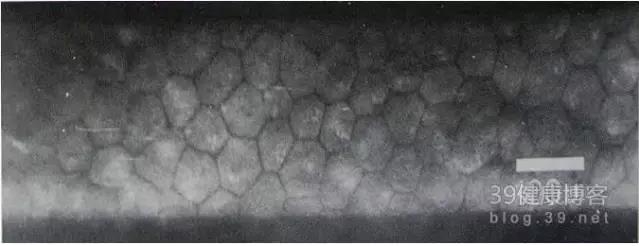 �۱���Ӧ���Խ�������