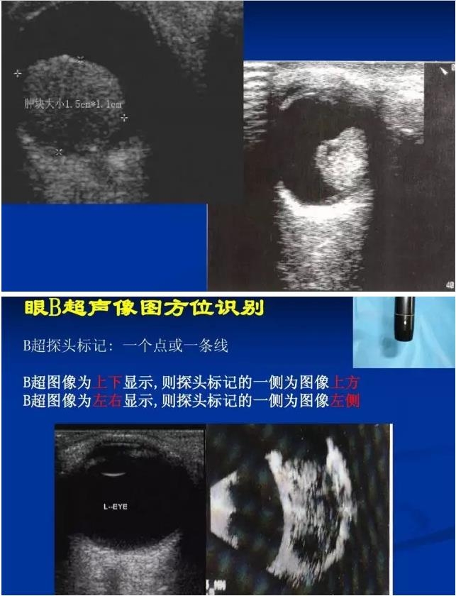 �۲�B����飨PPTͼ�İ棩