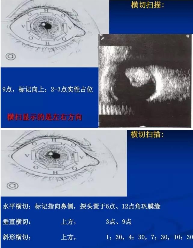 �۲�B����飨PPTͼ�İ棩