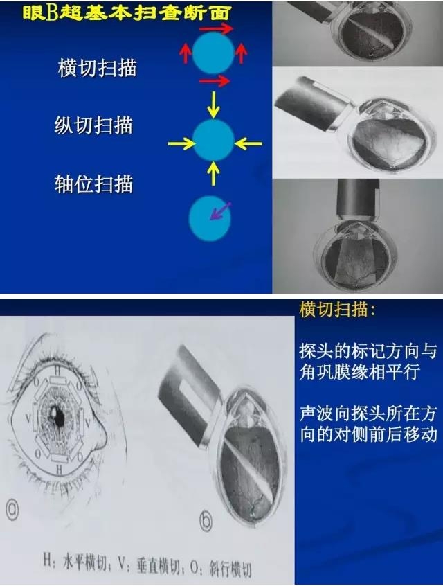 �۲�B����飨PPTͼ�İ棩