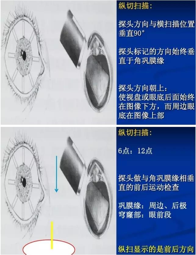 �۲�B����飨PPTͼ�İ棩