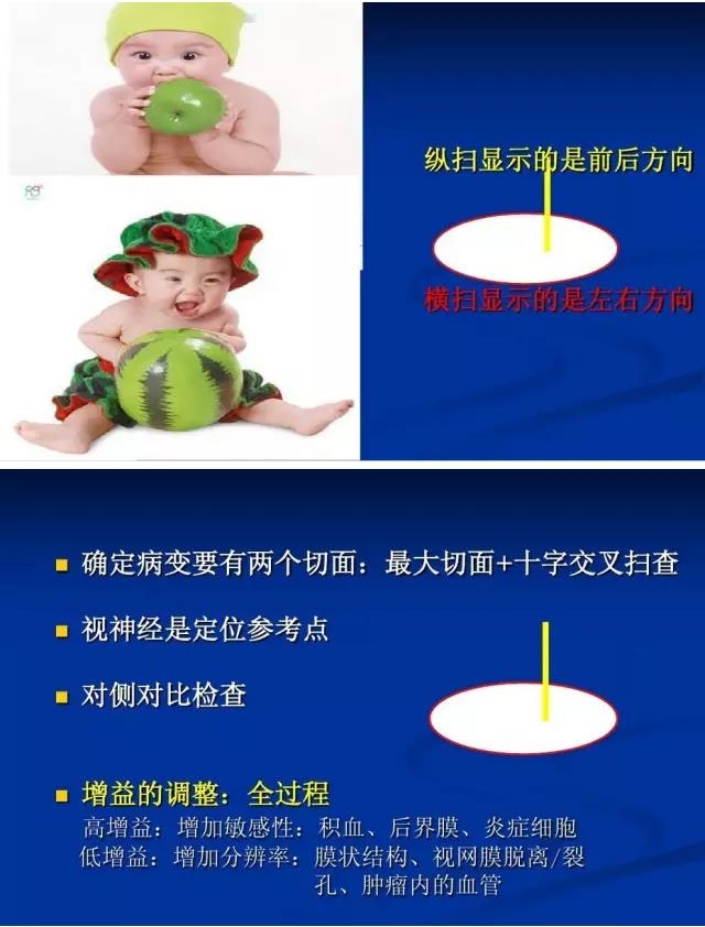 �۲�B����飨PPTͼ�İ棩