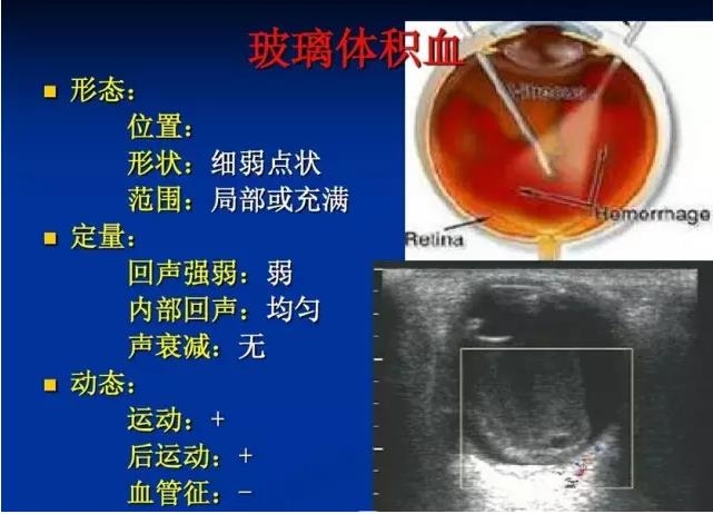 �۲�B����飨PPTͼ�İ棩