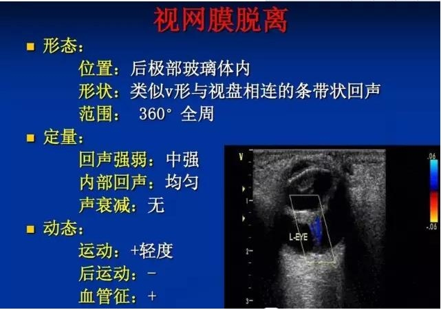 �۲�B����飨PPTͼ�İ棩