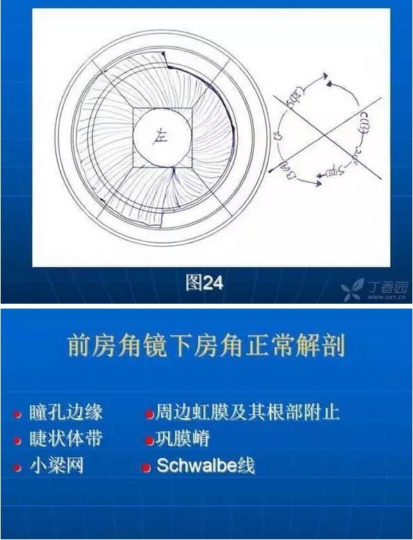 ǰ���Ǿ����Ĳ�������