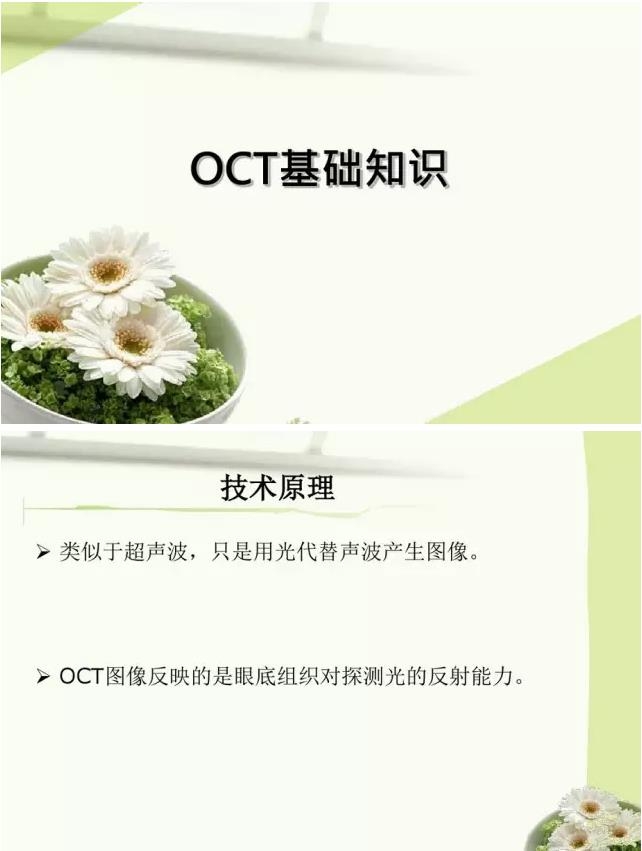 OCT����֪ʶ������֪���Ķ�������