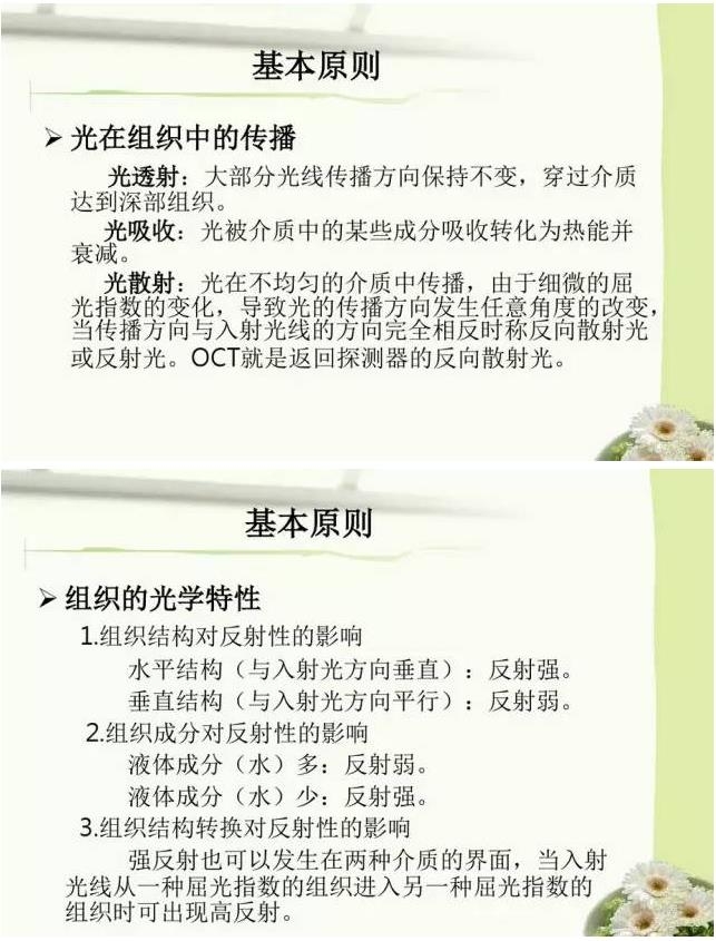 OCT����֪ʶ������֪���Ķ�������