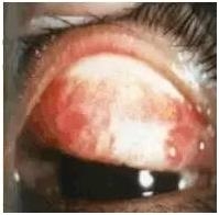 �ۿƳ��������Σ��ڸ�����ͼƬ��