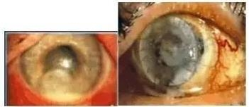 �ۿƳ��������Σ��ڸ�����ͼƬ��