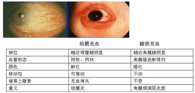 �ۿƳ��������Σ��ڸ�����ͼƬ��