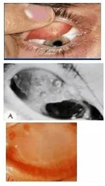 �ۿƳ��������Σ��ڸ�����ͼƬ��