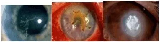 �ۿƳ��������Σ��ڸ�����ͼƬ��