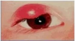 �ۿƳ��������Σ��ڸ�����ͼƬ��