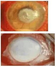 �ۿƳ��������Σ��ڸ�����ͼƬ��