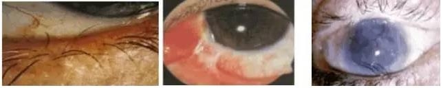 �ۿƳ��������Σ��ڸ�����ͼƬ��