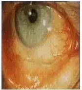 �ۿƳ��������Σ��ڸ�����ͼƬ��