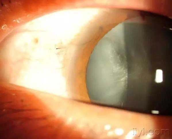 ����������Щ�������������һ��