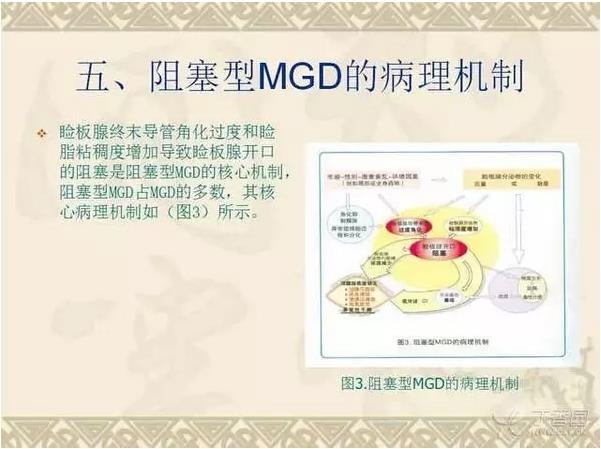 �����ٹ����ϰ������������