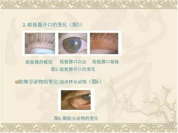 �����ٹ����ϰ������������