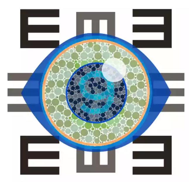 �ۿ�ѧ�������ָܻ������˻��ߵ�����