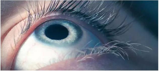 �ۿ�ҽ��Ҫʧҵ���ȸ��˹������㷨���Զ�����۲�