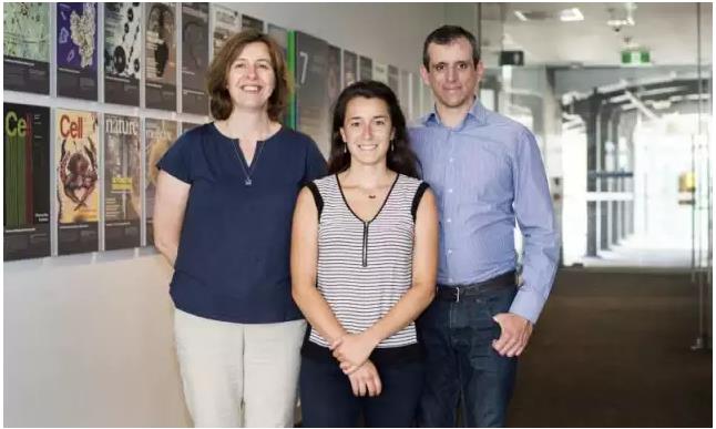 ȫ���״η��֣�ָ��ʧ�����յĻ���