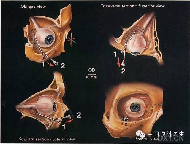 �����ע��ϸ��ͼ�����ž���