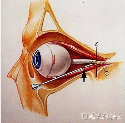 �����ע��ϸ��ͼ�����ž���