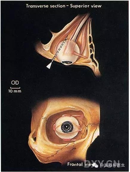 �����ע��ϸ��ͼ�����ž���