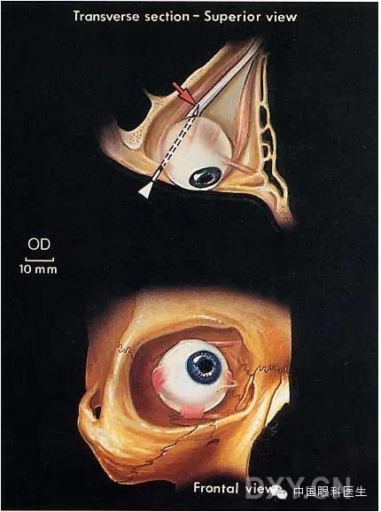 �����ע��ϸ��ͼ�����ž���