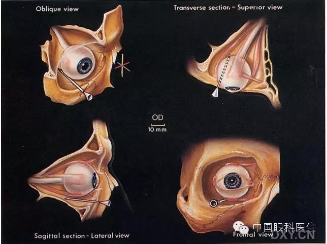 �����ע��ϸ��ͼ�����ž���