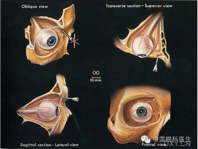 �����ע��ϸ��ͼ�����ž���