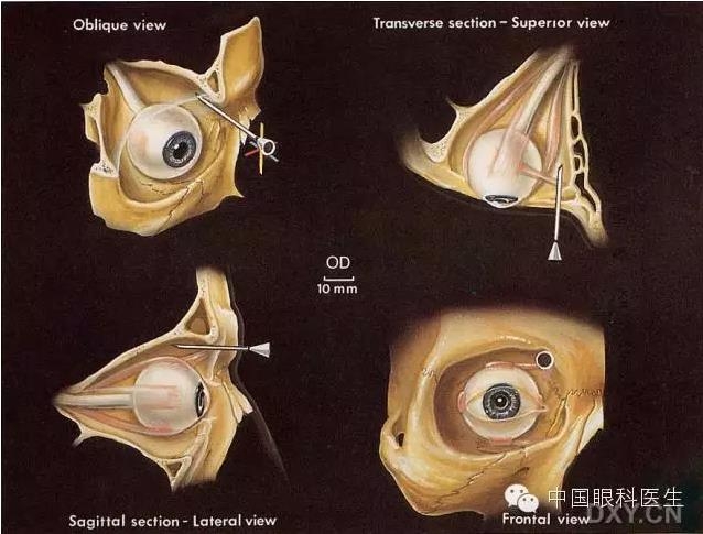�����ע��ϸ��ͼ�����ž���
