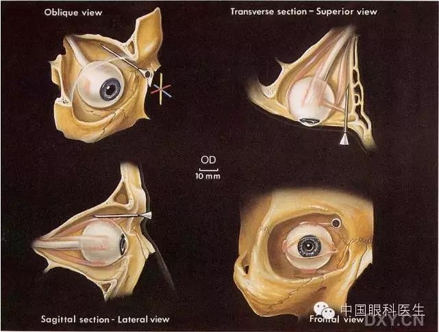 �����ע��ϸ��ͼ�����ž���