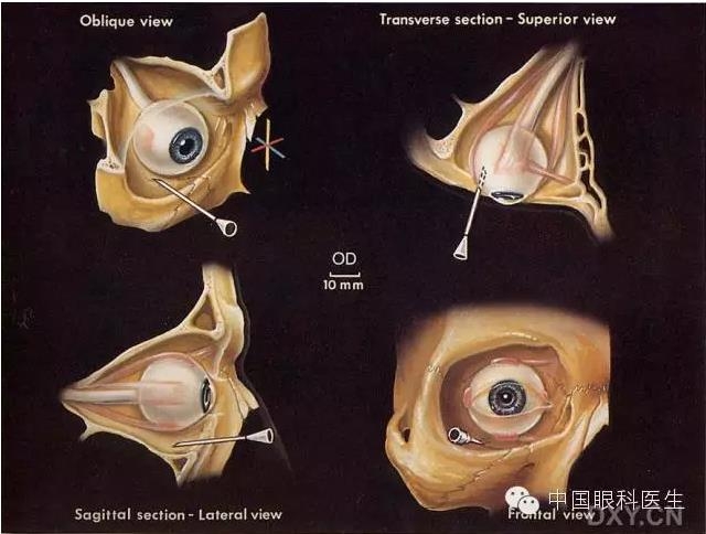 �����ע��ϸ��ͼ�����ž���