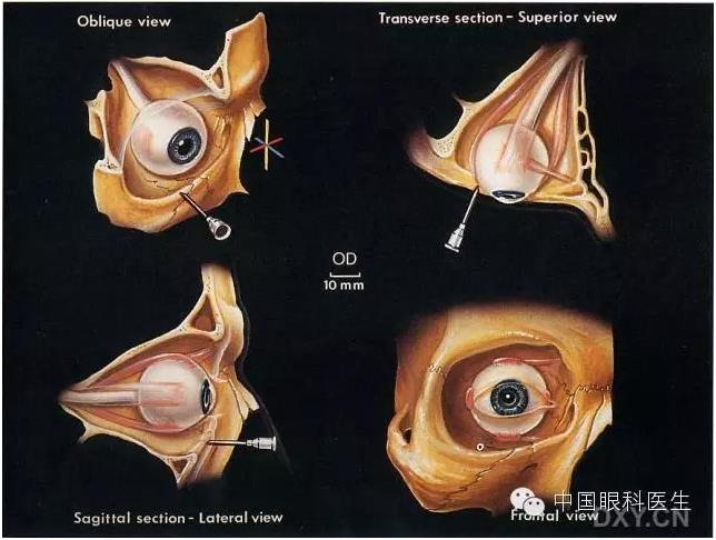 �����ע��ϸ��ͼ�����ž���