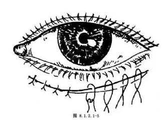 ���������ڷ�������